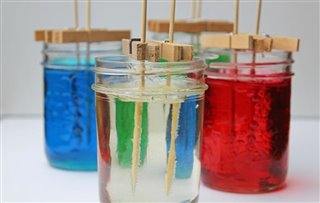 Growing "ice" crystals project. Photo courtesy to http://www.yummymummyclub.ca.