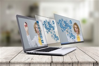Woman presents a visual diagram on the screen of her laptop.